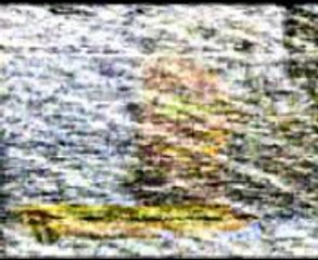 Daniel Guimarães Costa (Entrevista da TVE)