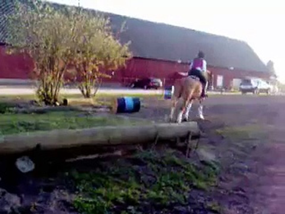 Hoppning/showjumping "parken"
