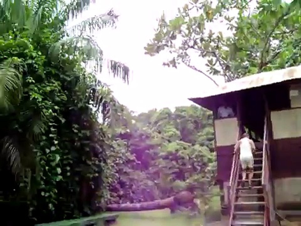 Gambia Travel
