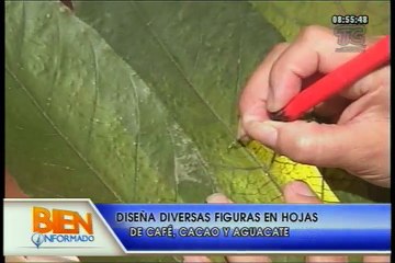 Bien Informado - Figuras en hojas de café, cacao y aguacate