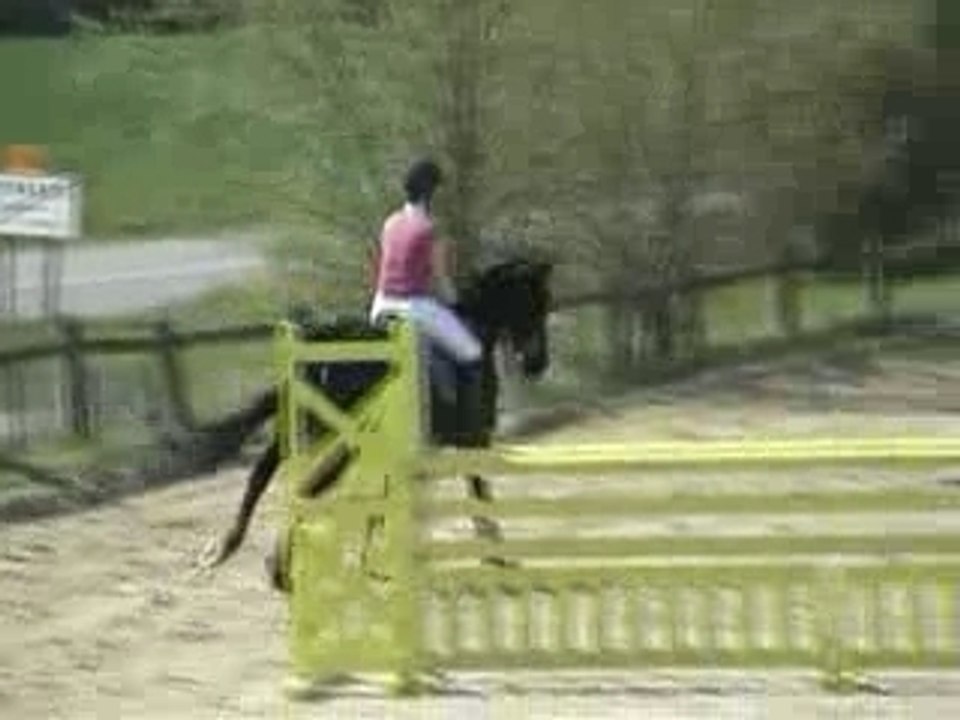 CSO Le val saint germain