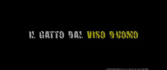 Il Gatto Dal Viso D'Uomo