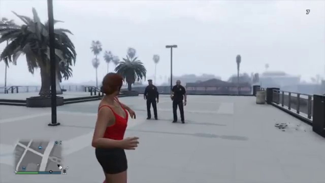 Cops Don't Like Snowball Fights In GTA V