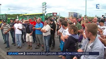 Les propositions du gouvernement ne satisfont pas tous les agriculteurs