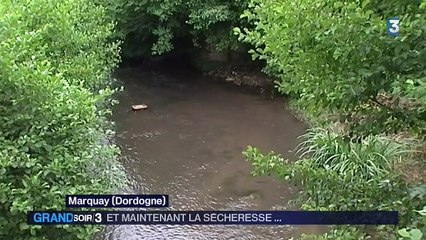 Sécheresse : 52 départements concernés par des restrictions d'eau