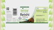 Reishi 500 mg Reishi-Pulver pro Kapsel Ling Zhi 90 vegetarische Kapseln