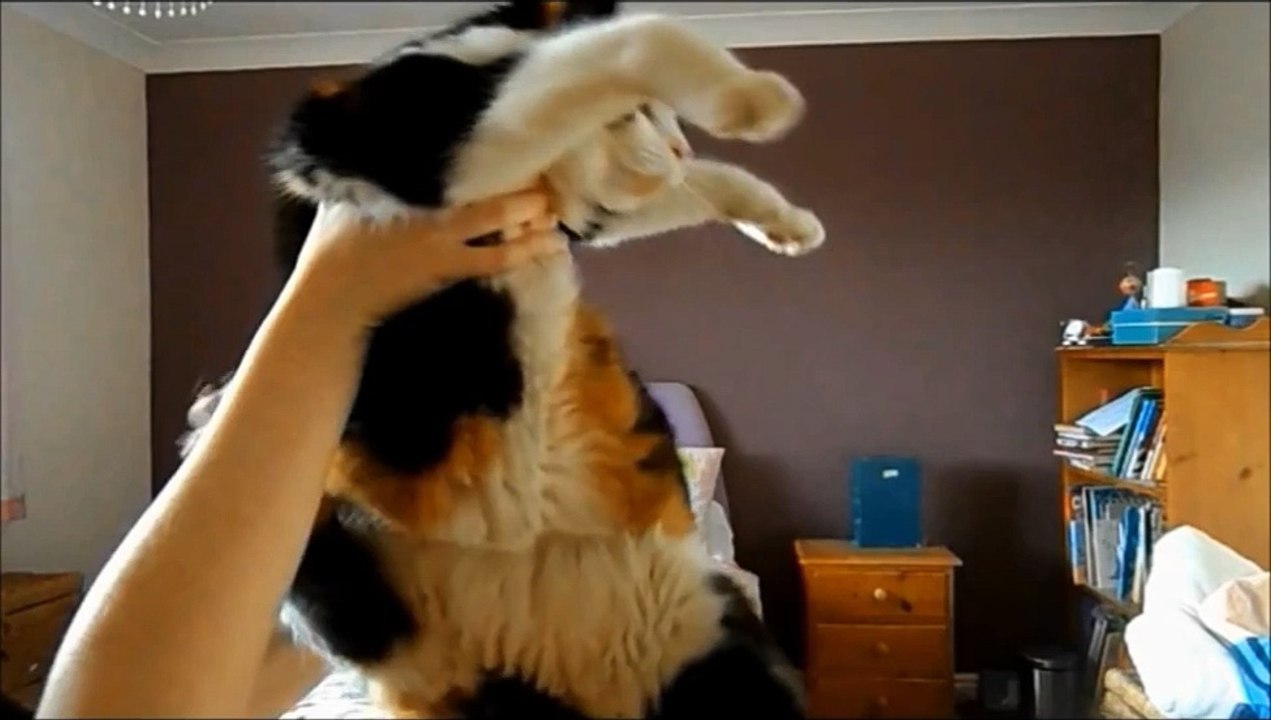10 fun things to do with your pussy