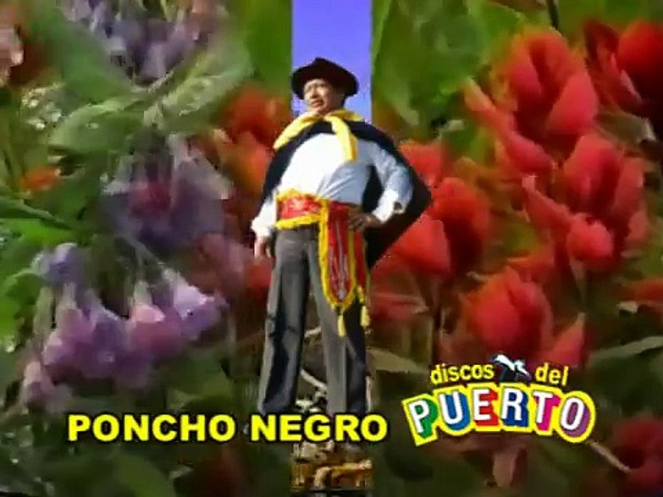 PONCHO NEGRO - Lirio Lirio