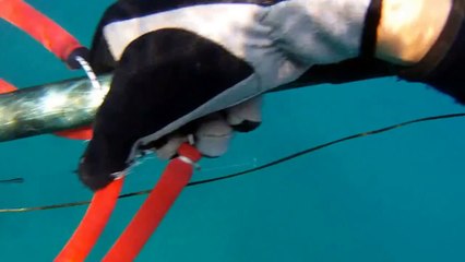 Spearfishing in israel