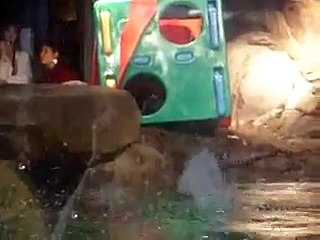 Atlanta Aquarium Otters Attack Play Pen