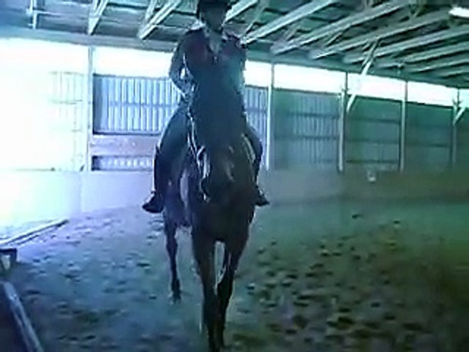 horse spooks
