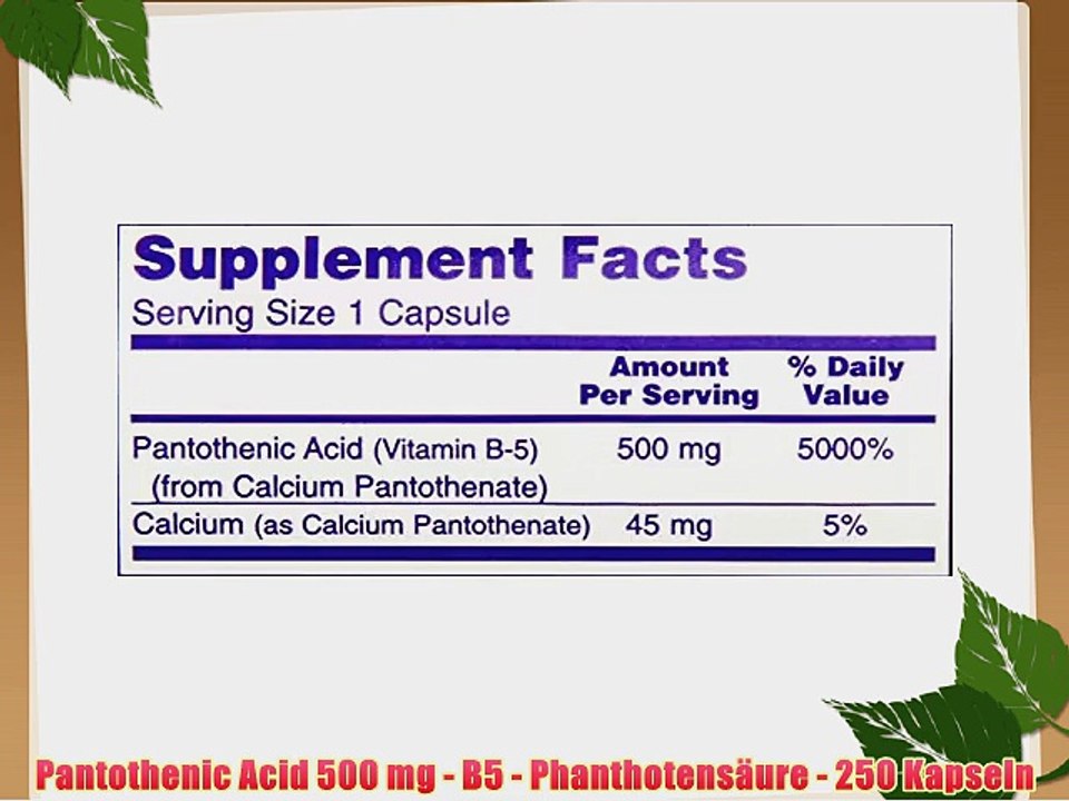 Pantothenic Acid 500 mg - B5 - Phanthotens?ure - 250 Kapseln