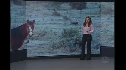 Temperaturas despencam no Sul e Sudeste