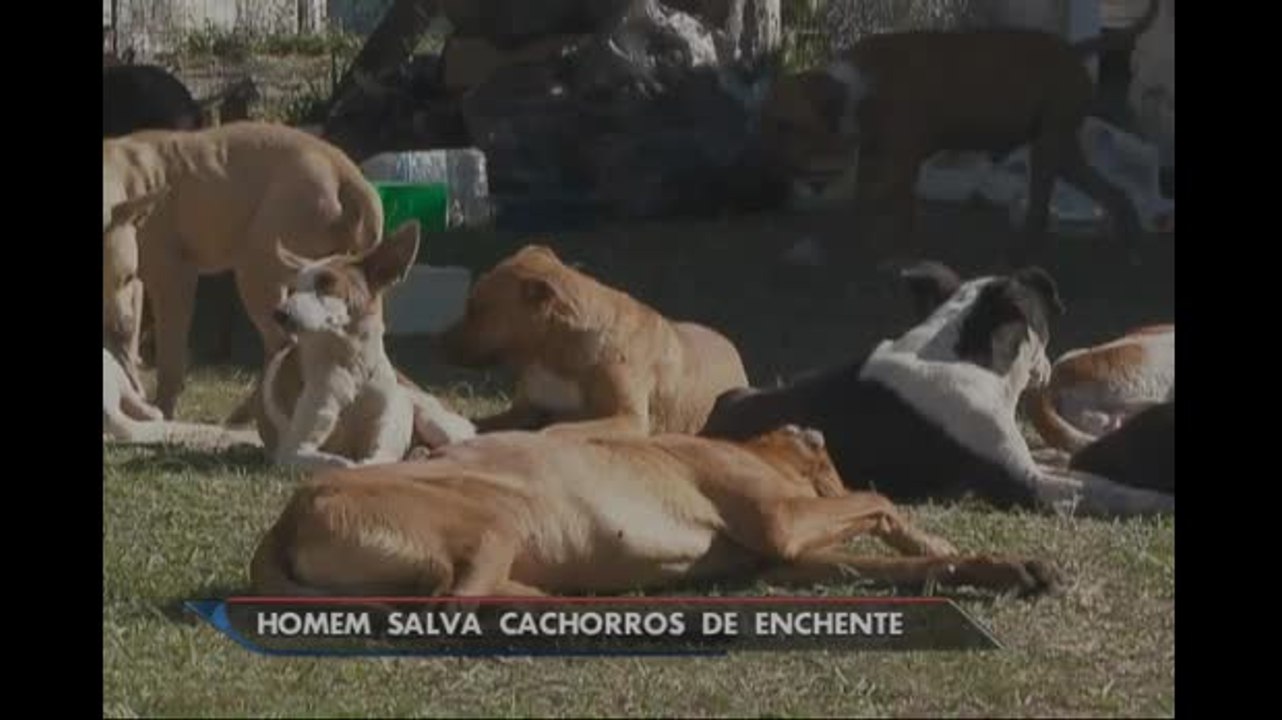 Homem salva mais de 100 cachorros de enchente no RS