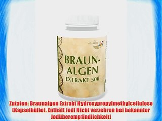 Vita World Braunalgen Extrakt 500mg 120 Vegi Kapseln Apotheken Herstellung