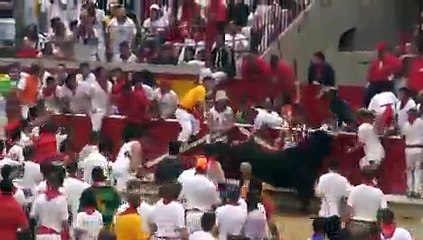 Running with the Bulls 2007 Pamplona, Spain