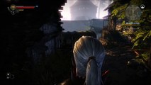 Witcher 2 Maxed on a GTX 580