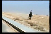 وادي رم..سباق الخيل قوة التحمل الاردن    wadi rum horse endurance