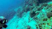 Caspian sea underwater dive