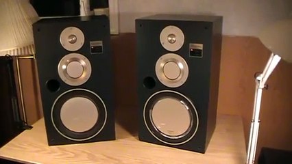 Technics SB-X500 Speakers - 1983