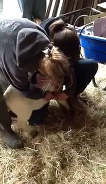 How to give goat a shot (sub cutaneous)