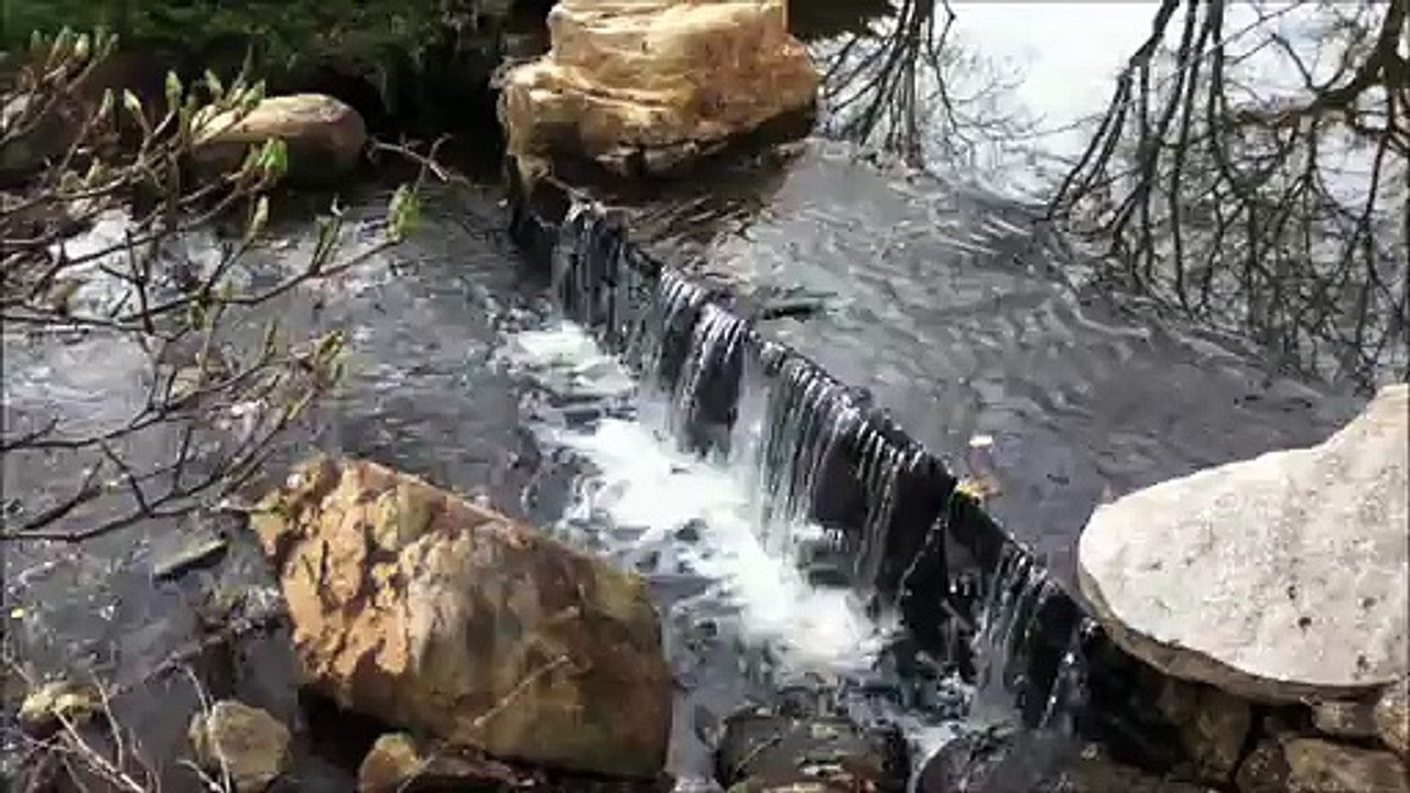 mon petit ruisseau .