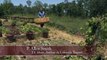 Straw Bale Gardening