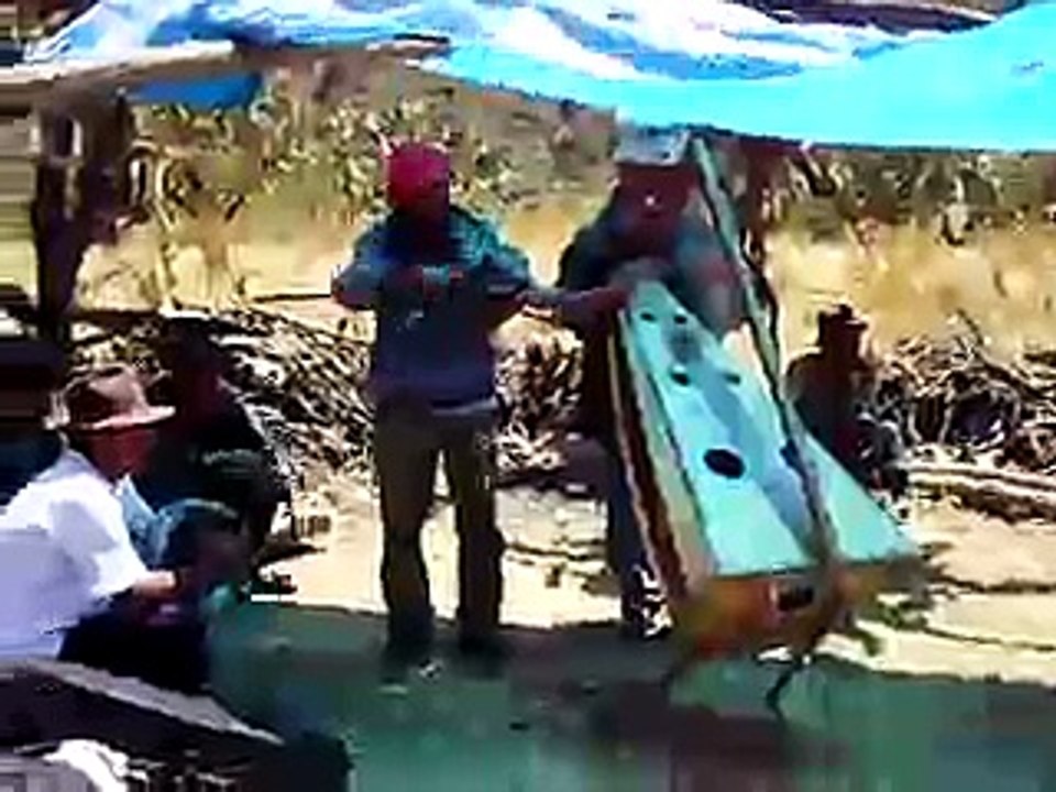 Arpa y Violín