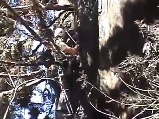 Condor Chick "Phoenix" survives fire