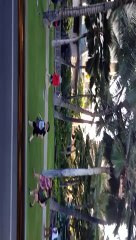 妹尾八郎の旅行～ハワイ