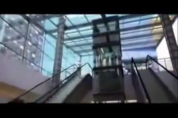 Centro Comercial MEGA POLVOS de Los Olivos