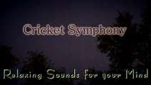 Nature Sounds for Relaxing, Meditation & Sleep...Night Time Crickets