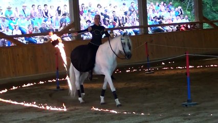 Lusitano-Pferde Dressur "Feuer und Liebe"