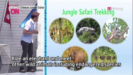 Chitwan safari - Gambhir Man Shreatha / Nepal