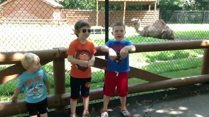 It's Humpday! Rap Video by 5yr old Caleb C (hump day dance / putts)