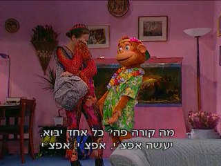 קופיקו העונה הראשונה - פרק 11 - חולים חולים