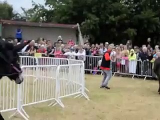 Fête de l'âne - Beaurepaire sur Sambre