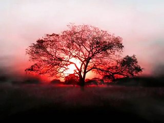 Franco Simone  -  Distacco