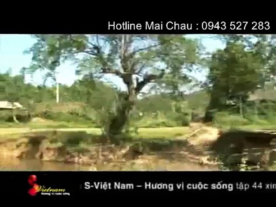Gọi 0966.072.571 đặt Nhà sàn Mai Châu Hòa Bình giá rẻ tháng 8,9,10,11,12 năm 2015