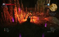 The Witcher 3- Wild Hunt (Ведьмак 3- Дикая охота) БАГ С БОССОМ!! PC
