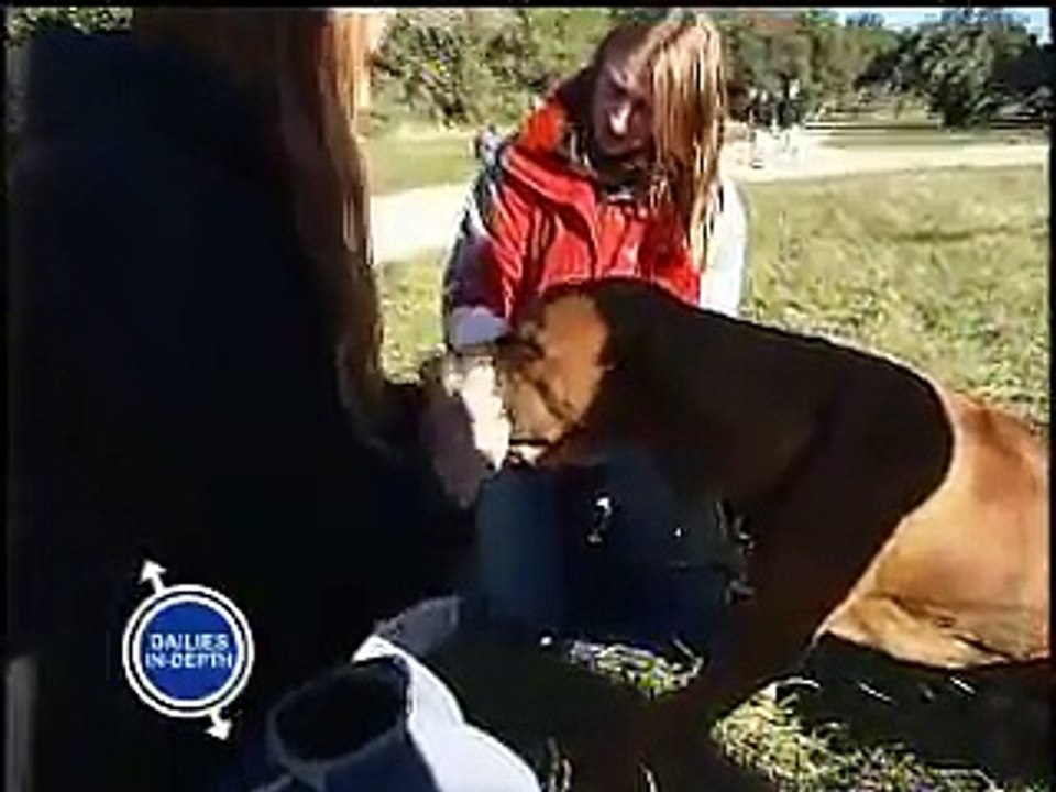 Creature Effects - Motion Picture Animal Animatronics