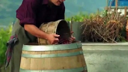 Accidentally Purpose Man Shocked