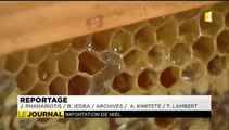 Importation de miel 