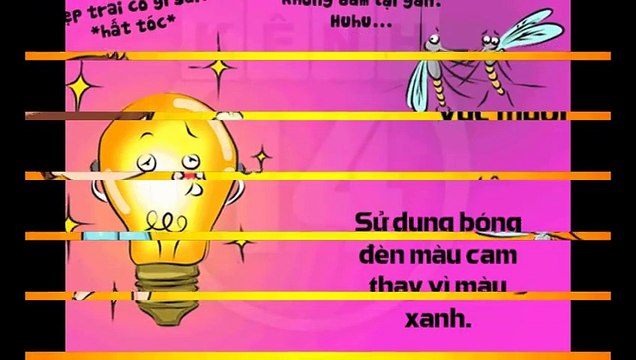 Soffell - Phương pháp cách chống muỗi đốt hiệu quả