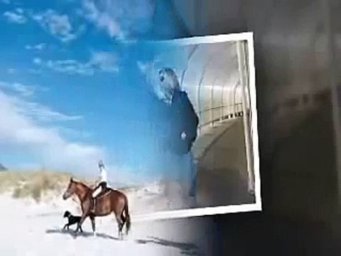 Hotels Etc Reviews - How to start your business