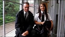 Support Adoption For Pets Please Help The Scottish SPCA Refurbish Dog Kennels