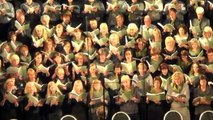 02.07.13. J.Vītola jubilejas koncerts Latvijas Universitātes aulā -2 daļa