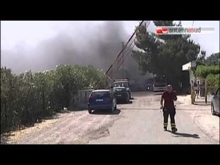 TG 22.07.15 Situazione incendi in Puglia