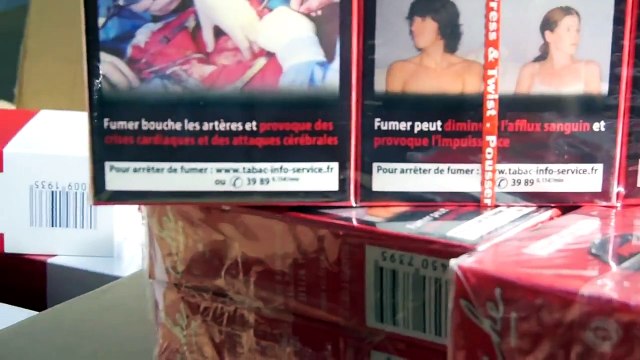 Saisie de 9,26 tonnes de cigarettes de contrebande