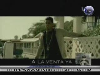 Tito El Bambino Enamorado
